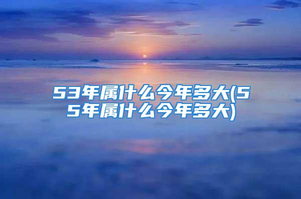 53年属什么今年多大(55年属什么今年多大)