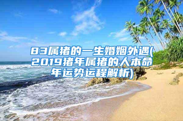 83属猪的一生婚姻外遇(2019猪年属猪的人本命年运势运程解析)