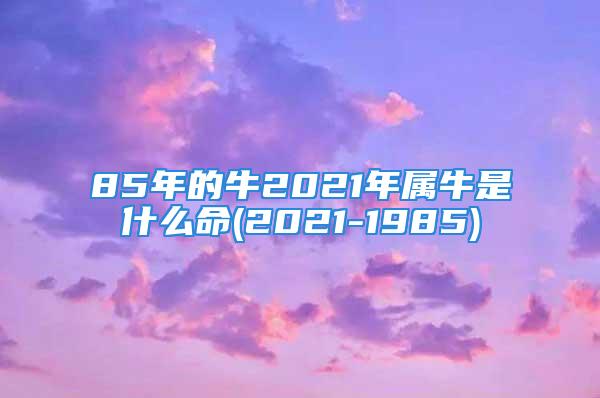 85年的牛2021年属牛是什么命(2021-1985)