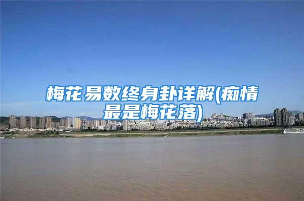 梅花易数终身卦详解(痴情最是梅花落)
