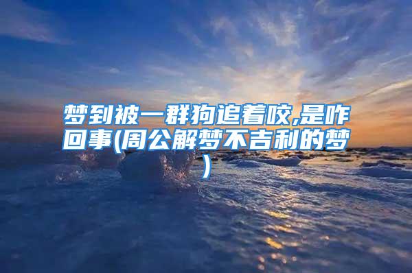 梦到被一群狗追着咬,是咋回事(周公解梦不吉利的梦)
