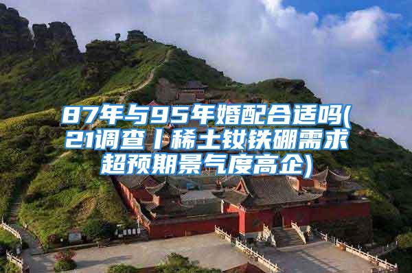 87年与95年婚配合适吗(21调查丨稀土钕铁硼需求超预期景气度高企)