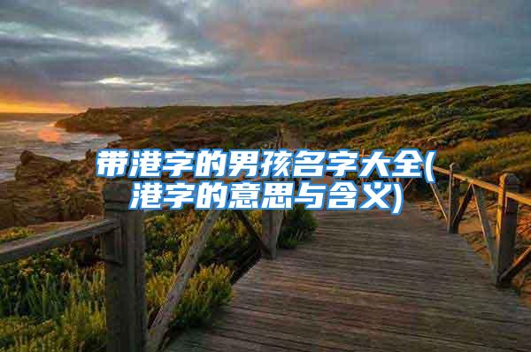 带港字的男孩名字大全(港字的意思与含义)