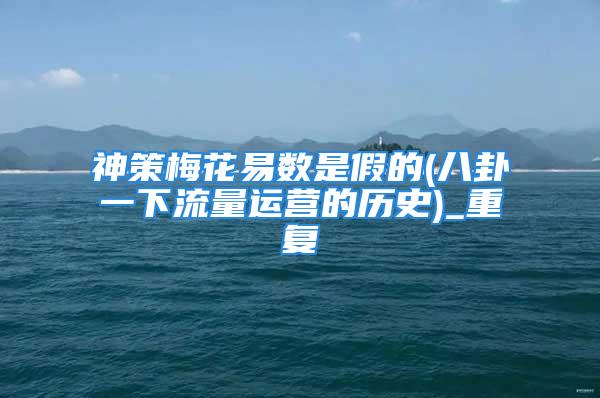 神策梅花易数是假的(八卦一下流量运营的历史)_重复