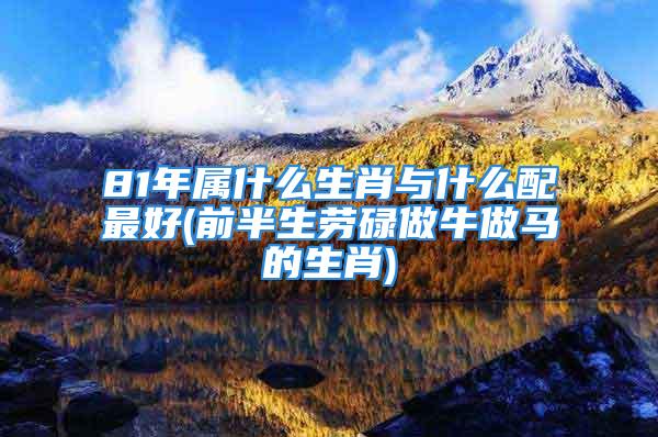 81年属什么生肖与什么配最好(前半生劳碌做牛做马的生肖)
