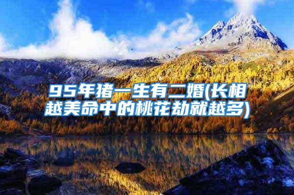 95年猪一生有二婚(长相越美命中的桃花劫就越多)