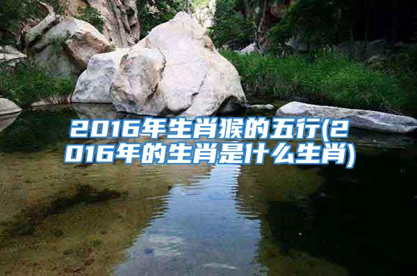 2016年生肖猴的五行(2016年的生肖是什么生肖)