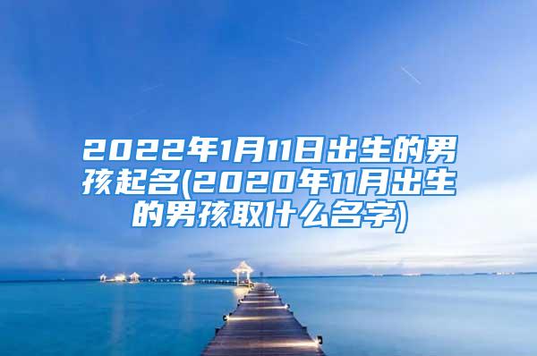 2022年1月11日出生的男孩起名(2020年11月出生的男孩取什么名字)