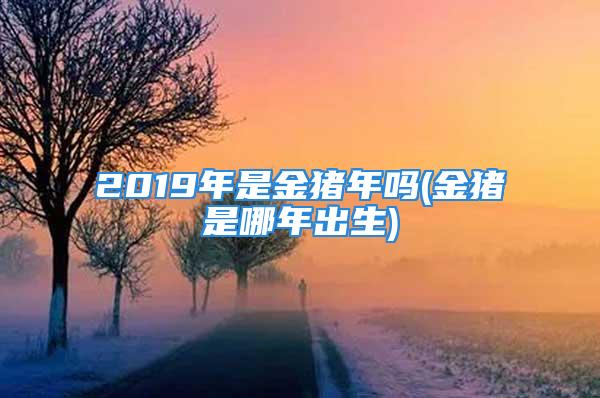 2019年是金猪年吗(金猪是哪年出生)