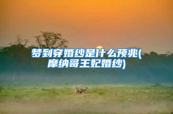 梦到穿婚纱是什么预兆(摩纳哥王妃婚纱)