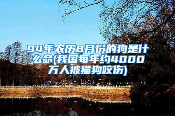 94年农历8月份的狗是什么命(我国每年约4000万人被猫狗咬伤)
