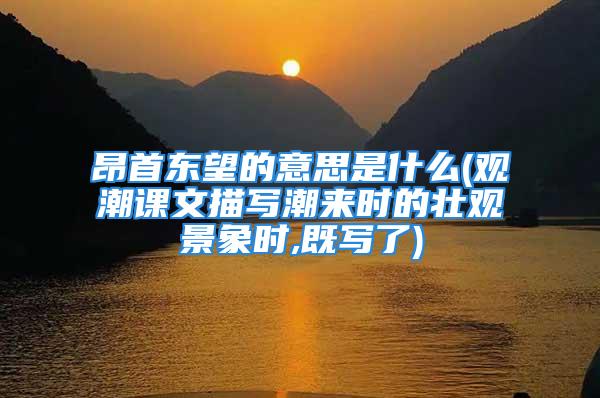 昂首东望的意思是什么(观潮课文描写潮来时的壮观景象时,既写了)