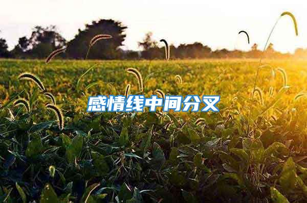 感情线中间分叉