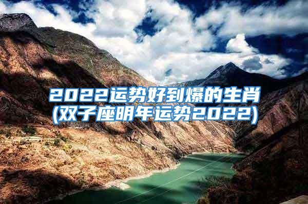 2022运势好到爆的生肖(双子座明年运势2022)