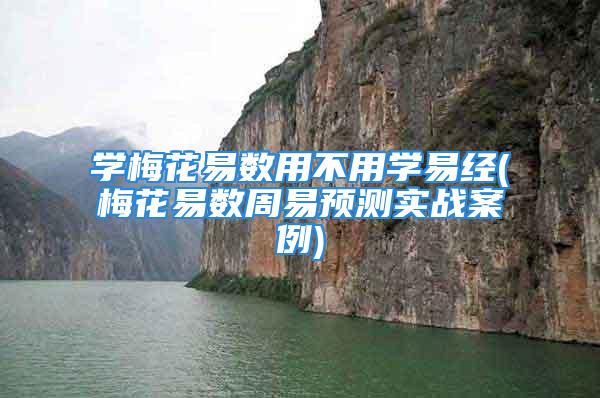 学梅花易数用不用学易经(梅花易数周易预测实战案例)