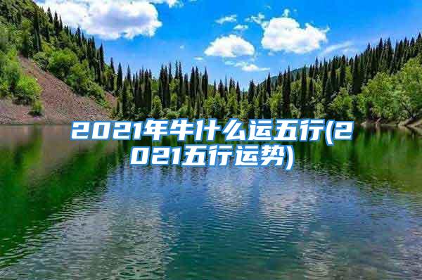 2021年牛什么运五行(2021五行运势)