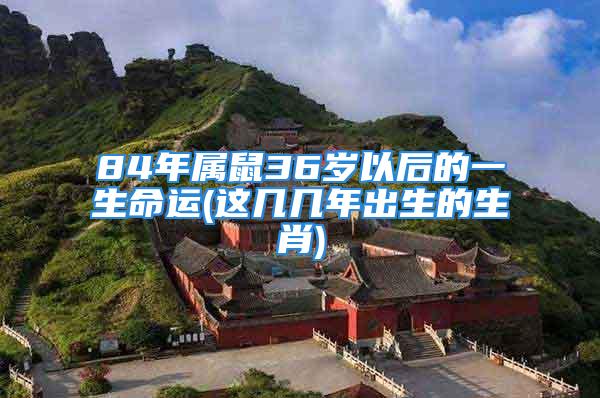84年属鼠36岁以后的一生命运(这几几年出生的生肖)