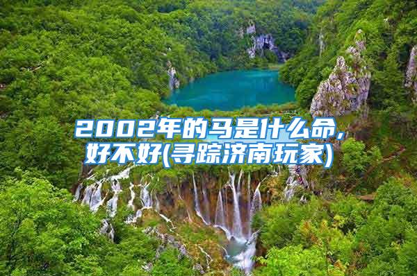 2002年的马是什么命,好不好(寻踪济南玩家)