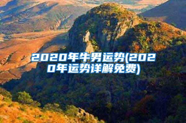 2020年牛男运势(2020年运势详解免费)