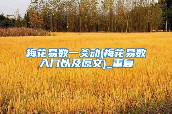 梅花易数一爻动(梅花易数入门以及原文)_重复