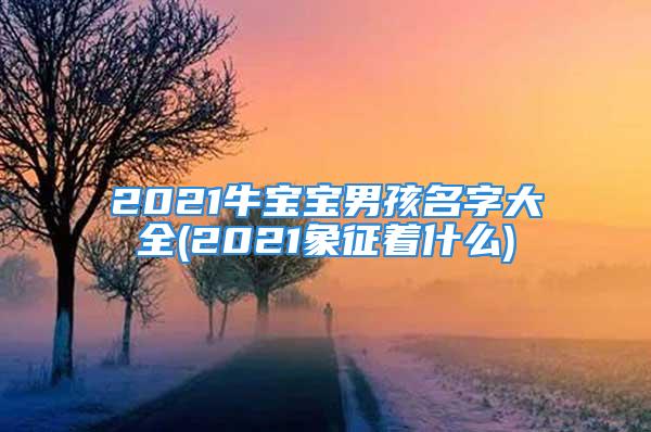 2021牛宝宝男孩名字大全(2021象征着什么)