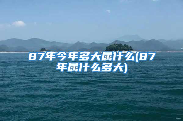87年今年多大属什么(87年属什么多大)