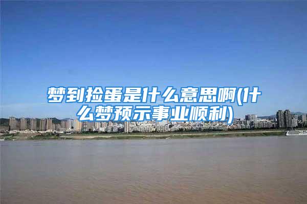 梦到捡蛋是什么意思啊(什么梦预示事业顺利)