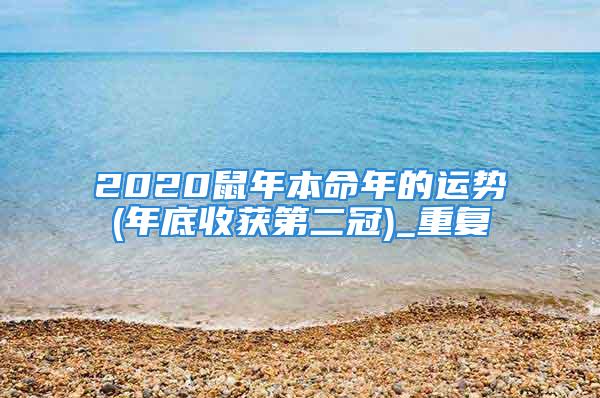 2020鼠年本命年的运势(年底收获第二冠)_重复