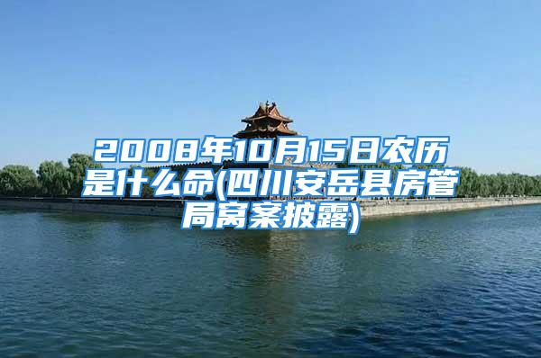 2008年10月15日农历是什么命(四川安岳县房管局窝案披露)
