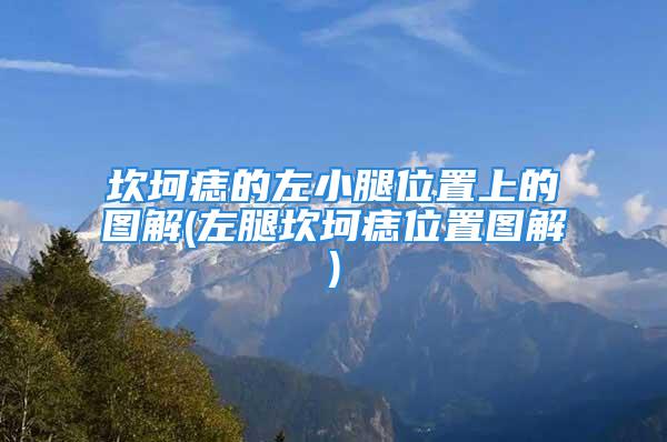 坎坷痣的左小腿位置上的图解(左腿坎坷痣位置图解)