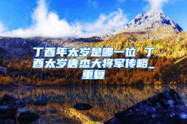 丁酉年太岁是哪一位 丁酉太岁唐杰大将军传略_重复