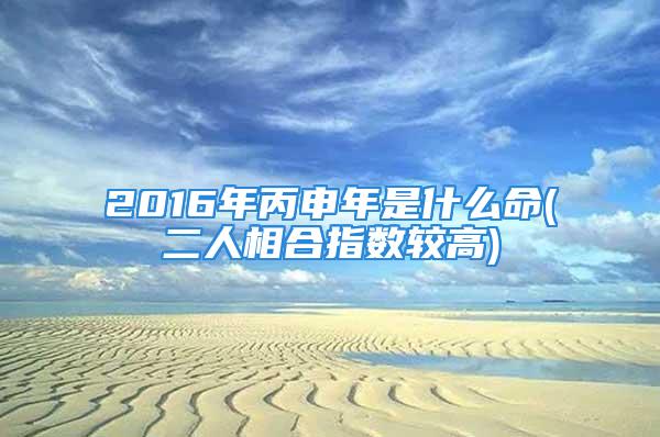 2016年丙申年是什么命(二人相合指数较高)