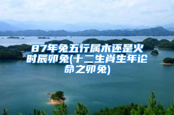 87年兔五行属木还是火时辰卯兔(十二生肖生年论命之卯兔)