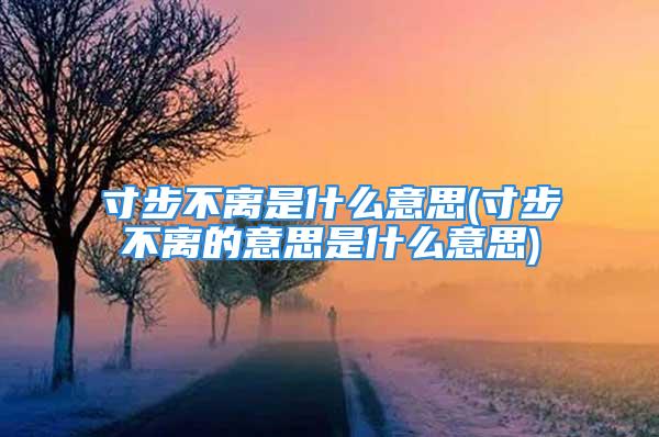 寸步不离是什么意思(寸步不离的意思是什么意思)