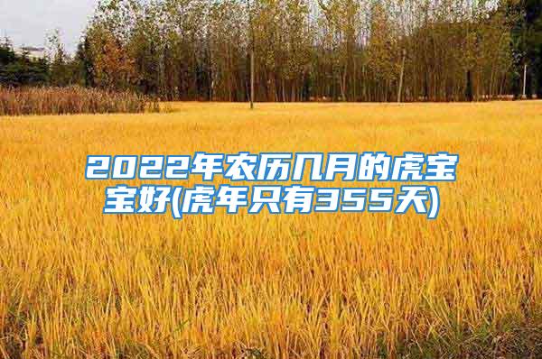 2022年农历几月的虎宝宝好(虎年只有355天)