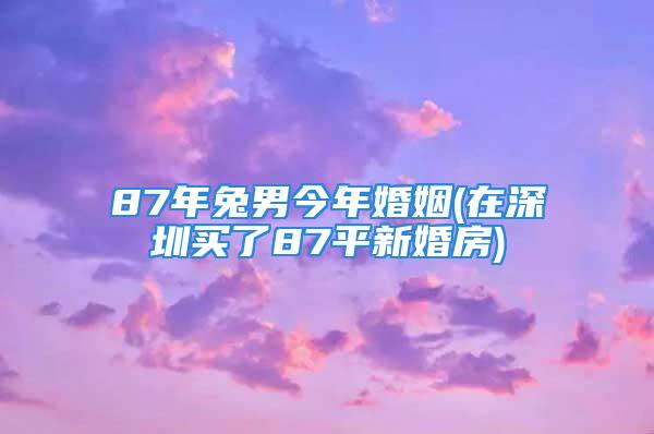 87年兔男今年婚姻(在深圳买了87平新婚房)