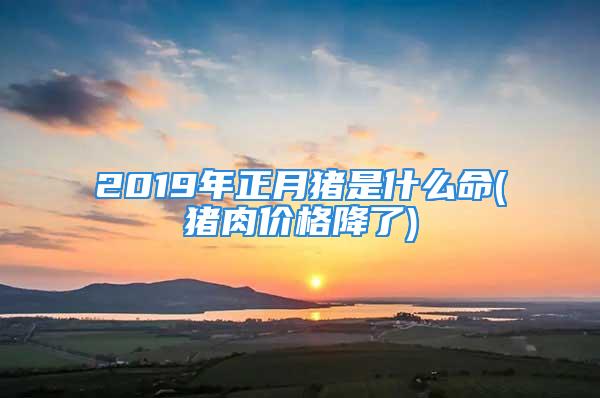 2019年正月猪是什么命(猪肉价格降了)