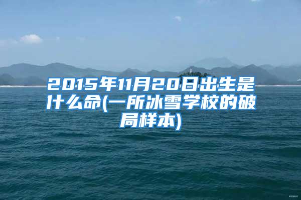 2015年11月20日出生是什么命(一所冰雪学校的破局样本)