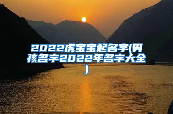 2022虎宝宝起名字(男孩名字2022年名字大全)