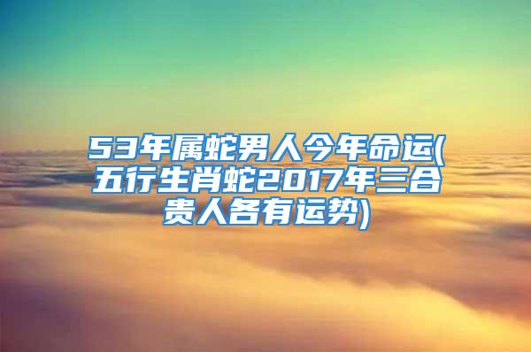 53年属蛇男人今年命运(五行生肖蛇2017年三合贵人各有运势)