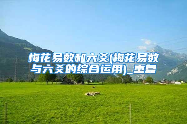 梅花易数和六爻(梅花易数与六爻的综合运用)_重复