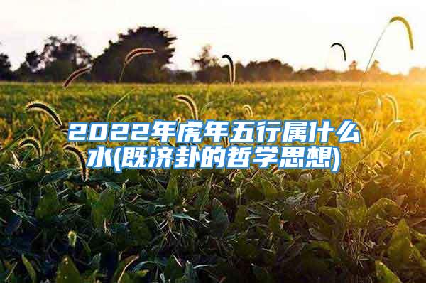 2022年虎年五行属什么水(既济卦的哲学思想)