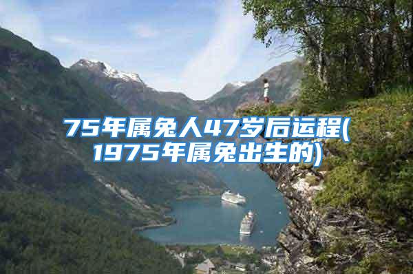 75年属兔人47岁后运程(1975年属兔出生的)