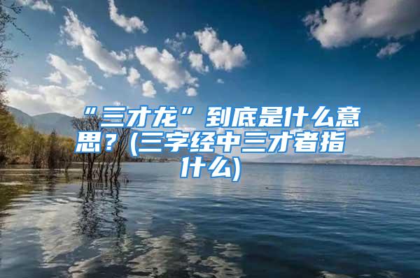 “三才龙”到底是什么意思？(三字经中三才者指什么)