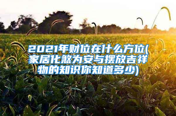 2021年财位在什么方位(家居化煞为安与摆放吉祥物的知识你知道多少)