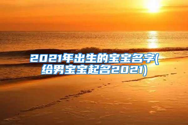 2021年出生的宝宝名字(给男宝宝起名2021)