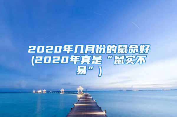 2020年几月份的鼠命好(2020年真是“鼠实不易”)