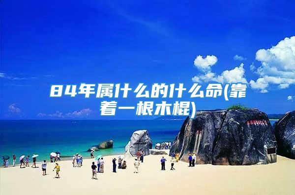 84年属什么的什么命(靠着一根木棍)
