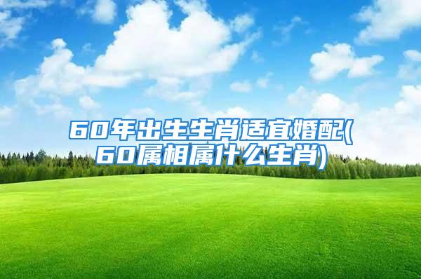 60年出生生肖适宜婚配(60属相属什么生肖)