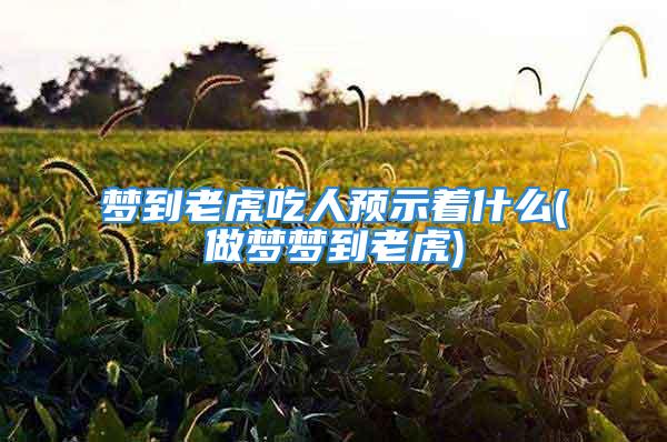 梦到老虎吃人预示着什么(做梦梦到老虎)